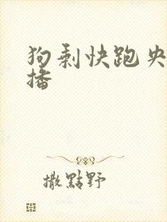 狗剩快跑央八首播