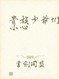 贵族少爷们 请小心