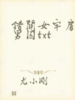 错关女牢房里的男囚txt