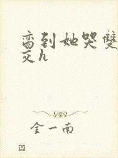 脔到她哭双根宫交h