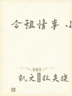 合租情事 小说