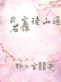 我家后山通仙界石锦