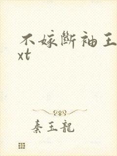 不嫁断袖王爷txt