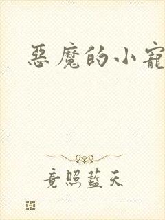 恶魔的小宠妻