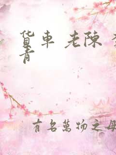 货车 老陈 李青