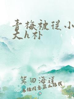 青梅被从小摸到大h补