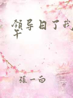 领导日了我一下午