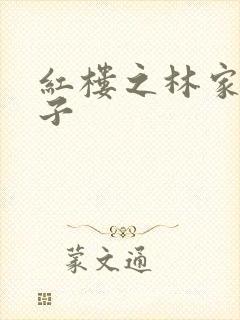 红楼之林家庶长子