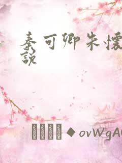 秦可卿朱怀镜小说