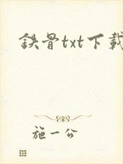 铁骨txt下载