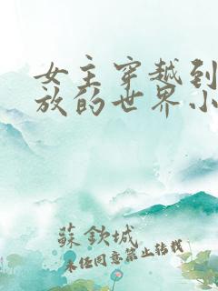 女主穿越到很开放的世界小说