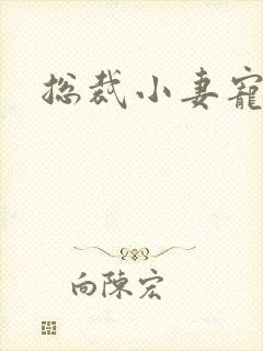 总裁小妻宠上天