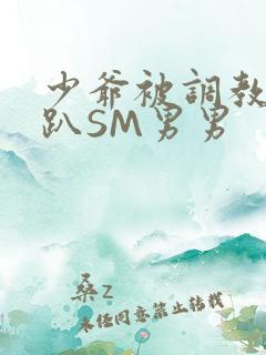 少爷被调教室跪趴SM男男