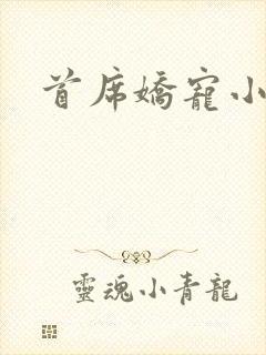 首席娇宠小情人