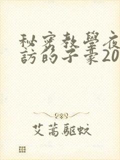 秘密教学夜晚到访的子豪20话