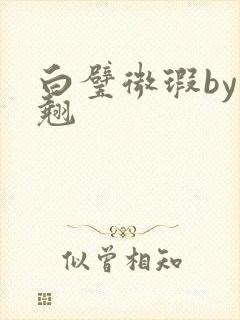 白璧微瑕by连翘