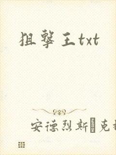 狙击王txt