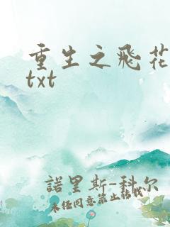 重生之飞花落照txt