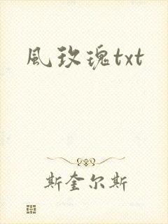 风玫瑰txt