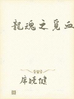 龙魂之觅血心缘