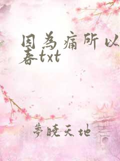 因为痛所以叫青春txt