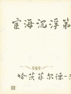 宦海沉浮第三部