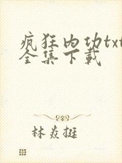 疯狂内功txt全集下载