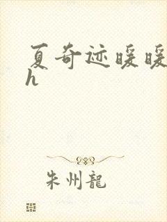 夏奇迹暖暖快穿h