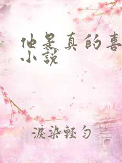 他是真的喜欢你小说