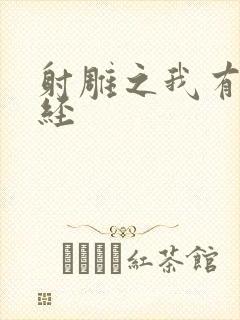 射雕之我有太玄经