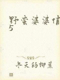 野蛮婆婆俏媳妇5