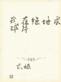 我在绝地求生捡碎片