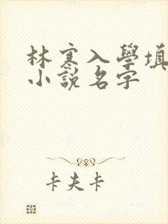 林寒入学填未婚小说名字