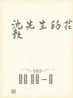 沈先生的花式调教