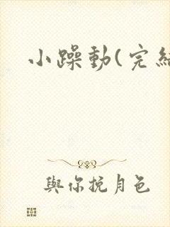 小躁动(完结)