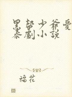 黑帮少爷爱上我泰剧小说