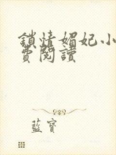 锁情媚妃小说免费阅读