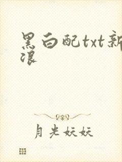黑白配txt新浪