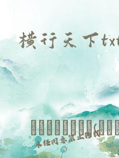 横行天下txt