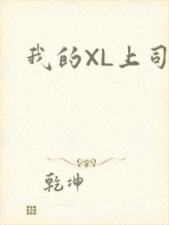 我的XL上司