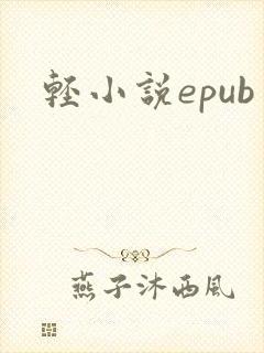轻小说epub