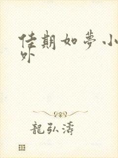 佳期如梦小说番外