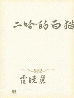 二哈的白猫师尊