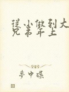 从小做到大骨科兄弟年上