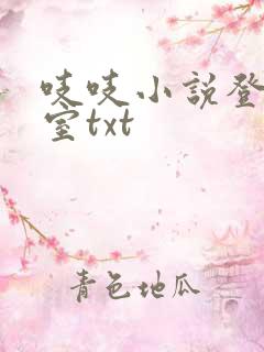 吱吱小说登堂入室txt