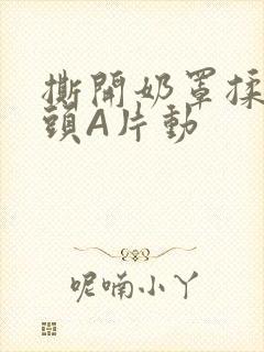 撕开奶罩揉吮奶头A片动