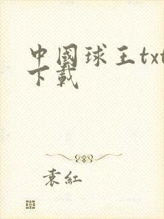 中国球王txt下载