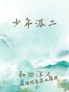 少年派二