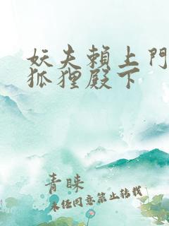 妖夫赖上门家有狐狸殿下