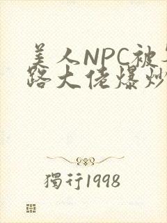 美人NPC被各路大佬爆炒小说